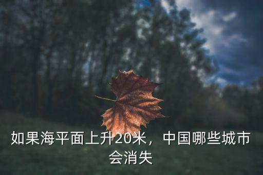 如果海平面上升20米，中國哪些城市會消失