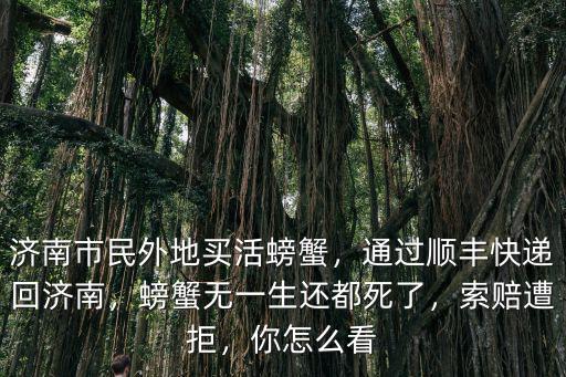 濟南有多少快遞人員,通過順豐快遞回濟南