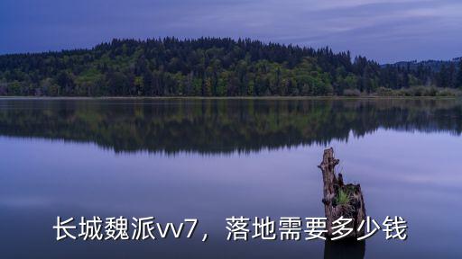 長城魏派vv7，落地需要多少錢