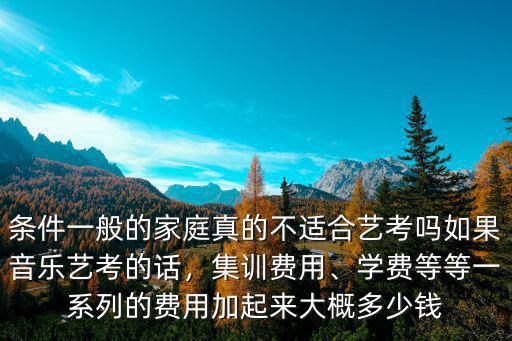 條件一般的家庭真的不適合藝考嗎如果音樂藝考的話，集訓費用、學費等等一系列的費用加起來大概多少錢