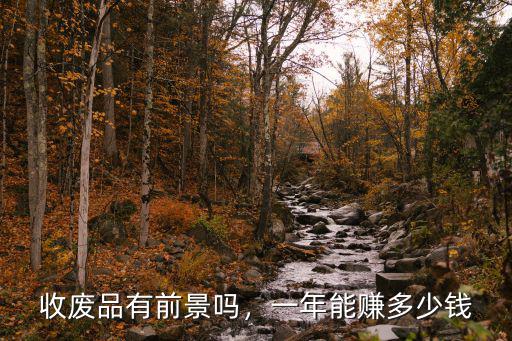 蘇州撿廢品一年能賺多少錢,一年能賺多少錢