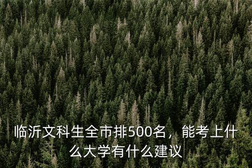 臨沂大學文科多少能上,臨沂文科生全市排500名