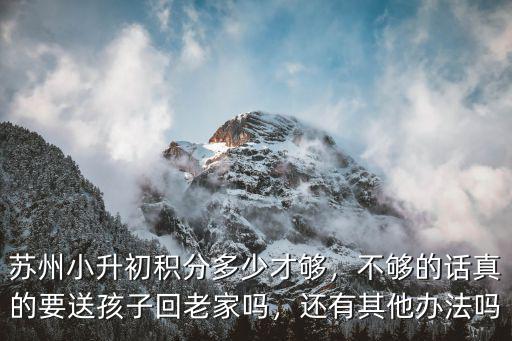 蘇州小升初積分多少才夠，不夠的話真的要送孩子回老家嗎，還有其他辦法嗎