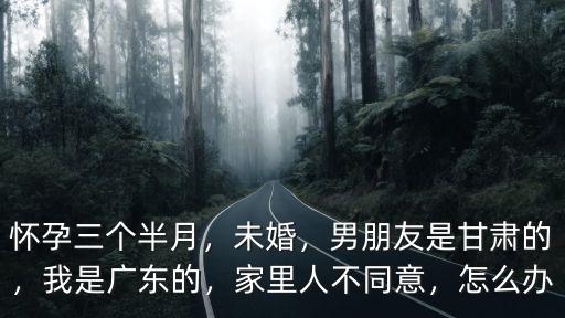 懷孕三個半月，未婚，男朋友是甘肅的，我是廣東的，家里人不同意，怎么辦