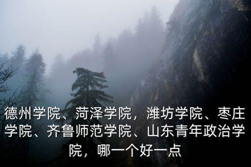德州學院、菏澤學院，濰坊學院、棗莊學院、齊魯師范學院、山東青年政治學院，哪一個好一點