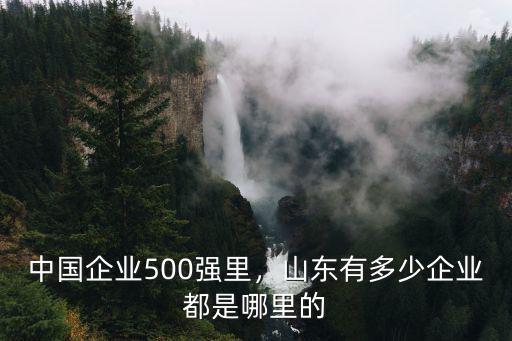 山東共有多少企業,中國企業500強里