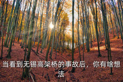 無(wú)錫高架橋坍塌的車(chē)載重多少,當(dāng)看到無(wú)錫高架橋的事故后