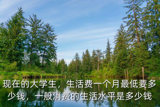 現在的大學生，生活費一個月最低要多少錢，一般消費的生活水平是多少錢