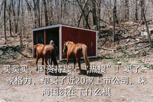 珠海國資投資多少錢,珠海國資在下什么棋