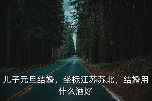 兒子元旦結婚，坐標江蘇蘇北，結婚用什么酒好