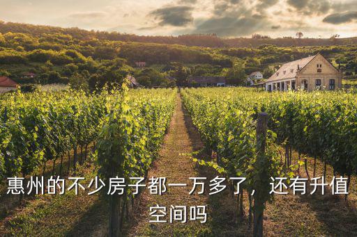 惠州房子多少算豪宅,惠州房子現(xiàn)在的價(jià)格算虛高嗎