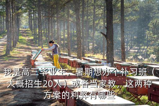 我是高三畢業(yè)生，暑期想辦個(gè)補(bǔ)習(xí)班（大概招生20人）或者當(dāng)家教，這兩種方案的利弊有哪些