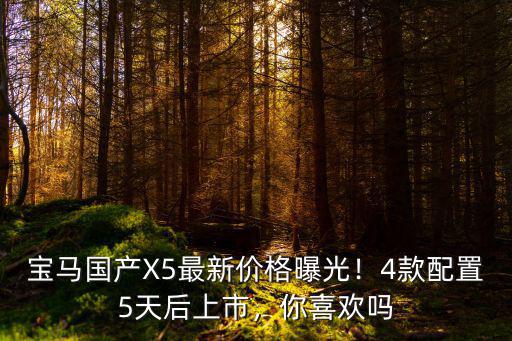 蘇州寶馬x5最新價格是多少,寶馬國產(chǎn)X5最新價格曝光