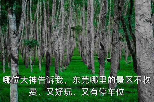 哪位大神告訴我，東莞哪里的景區(qū)不收費(fèi)、又好玩、又有停車位