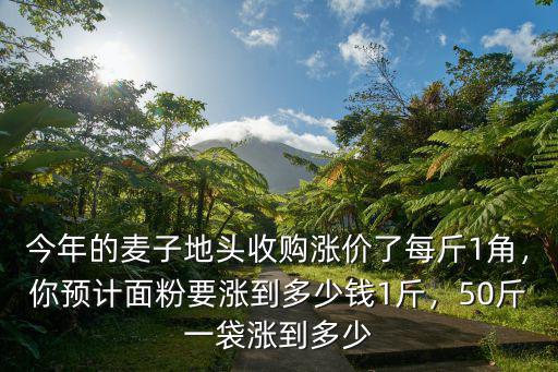 今年的麥子地頭收購漲價了每斤1角，你預計面粉要漲到多少錢1斤，50斤一袋漲到多少