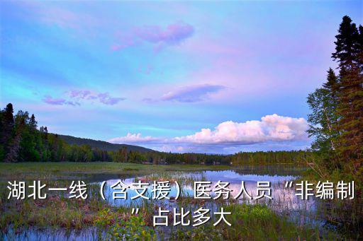 湖北一線（含支援）醫務人員“非編制”占比多大