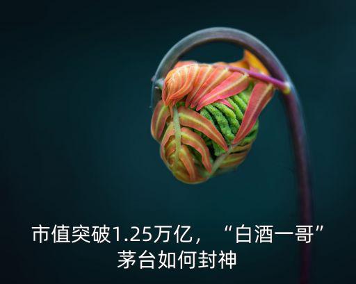 市值突破1.25萬億，“白酒一哥”茅臺如何封神