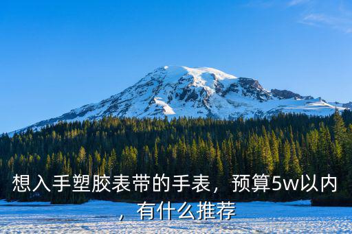 想入手塑膠表帶的手表，預(yù)算5w以內(nèi)，有什么推薦