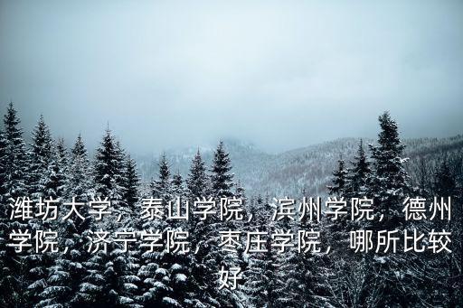 濰坊大學(xué)，泰山學(xué)院，濱州學(xué)院，德州學(xué)院，濟(jì)寧學(xué)院，棗莊學(xué)院，哪所比較好