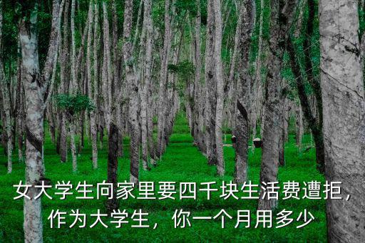 女大學(xué)生向家里要四千塊生活費遭拒，作為大學(xué)生，你一個月用多少