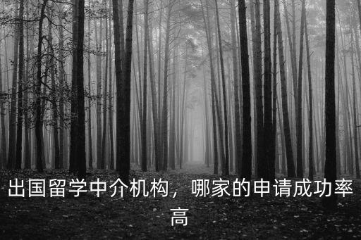 出國留學中介機構，哪家的申請成功率高