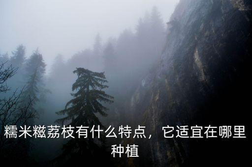 糯米糍荔枝有什么特點，它適宜在哪里種植