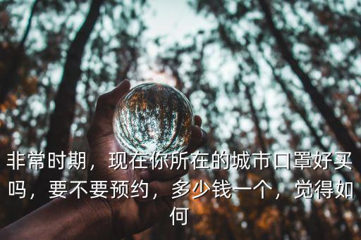 蘇州政府口罩多少錢,為什么在蘇州有錢買不到口罩
