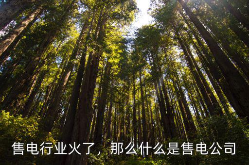 售電行業火了，那么什么是售電公司