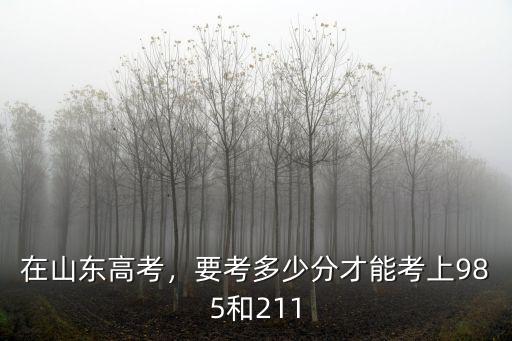 新疆的大學在山東錄取分數線是多少分,我是山東臨沂人