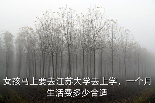 女孩馬上要去江蘇大學去上學，一個月生活費多少合適