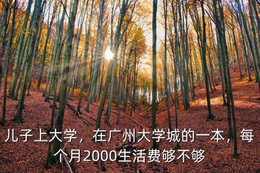 兒子上大學，在廣州大學城的一本，每個月2000生活費夠不夠