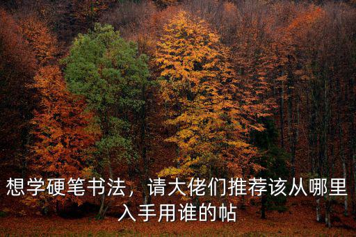 廣州硬筆書法在哪里學,想學硬筆書法