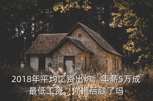 2018年南京在崗職工月平均工資是多少,年薪5萬(wàn)成最低工資