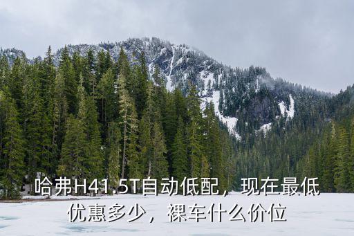 哈弗H41.5T自動低配，現在最低優惠多少，裸車什么價位