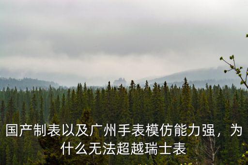 廣州復(fù)刻表瑞士怎么樣,廣州復(fù)刻表質(zhì)量怎么樣