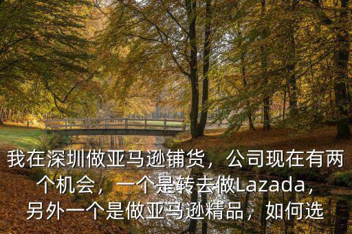 我在深圳做亞馬遜鋪貨，公司現在有兩個機會，一個是轉去做Lazada，另外一個是做亞馬遜精品，如何選