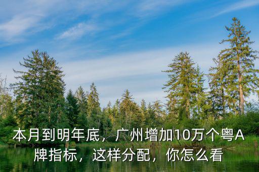 本月到明年底，廣州增加10萬個(gè)粵A牌指標(biāo)，這樣分配，你怎么看