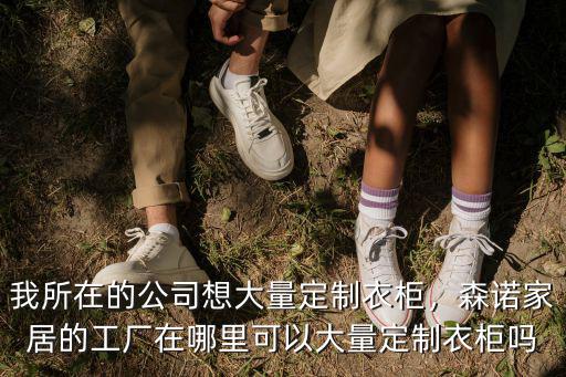 佛山衣柜定制工廠在哪里,森諾家居的工廠在哪里