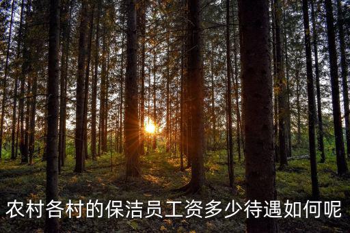 煙臺一職保潔員工資多少,農村各村的保潔員工資多少