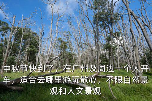 廣東附近哪里適合一個人自駕游,在廣州及周邊一個人開車