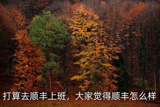 打算去順豐上班，大家覺得順豐怎么樣