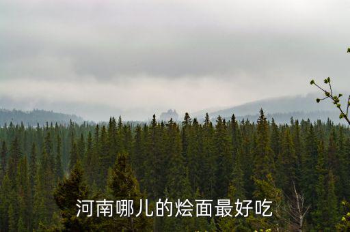 河南哪兒的燴面最好吃