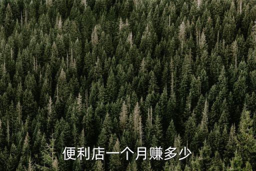 廣州開便利店收入多少錢,?多少錢能在廣東開設便利店