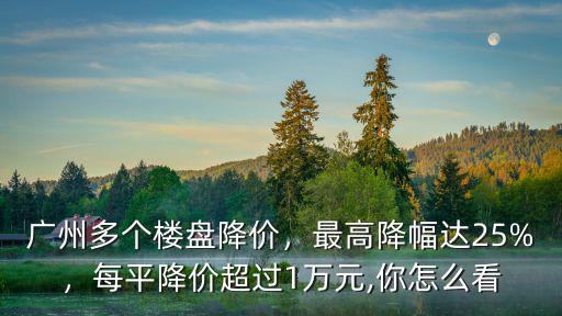 廣州多個(gè)樓盤降價(jià)，最高降幅達(dá)25%，每平降價(jià)超過(guò)1萬(wàn)元,你怎么看