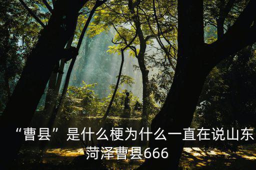 山東菏澤市曹縣優待金是多少,曹縣是什么梗