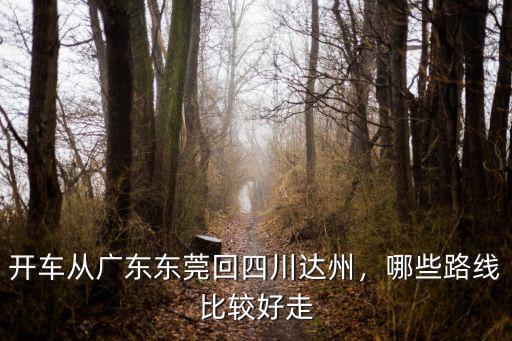 開車從廣東東莞回四川達(dá)州，哪些路線比較好走