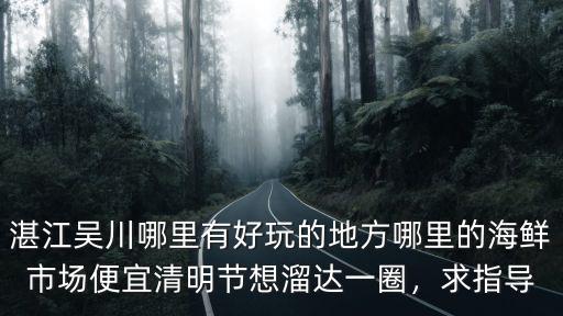 湛江吳川哪里海鮮最多,湛江吳川哪里有好玩的地方