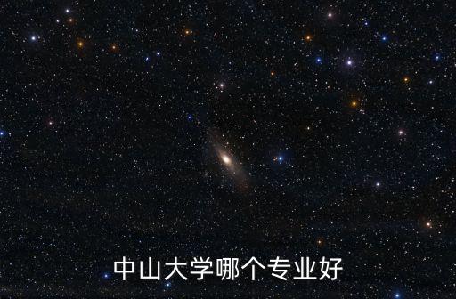 中山大學哪個專業好
