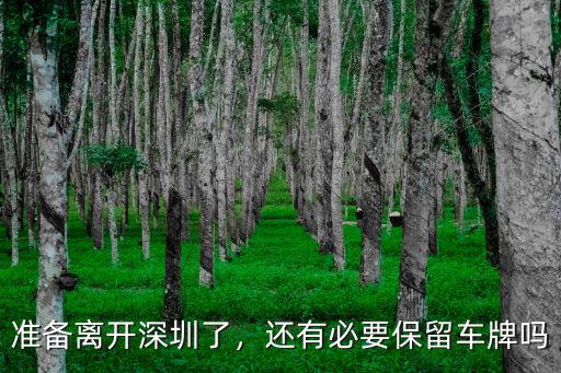 深圳的車牌不想要了怎么處理好,搖到深圳牌了