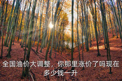 全國油價大調(diào)整，你那里漲價了嗎現(xiàn)在多少錢一升